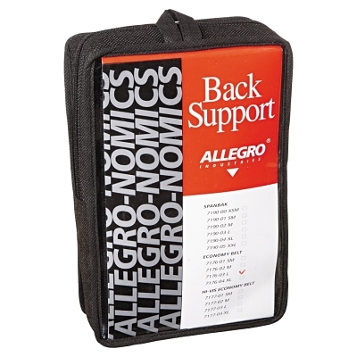 LARGE ECONOMY BACK SUPPORT BELT